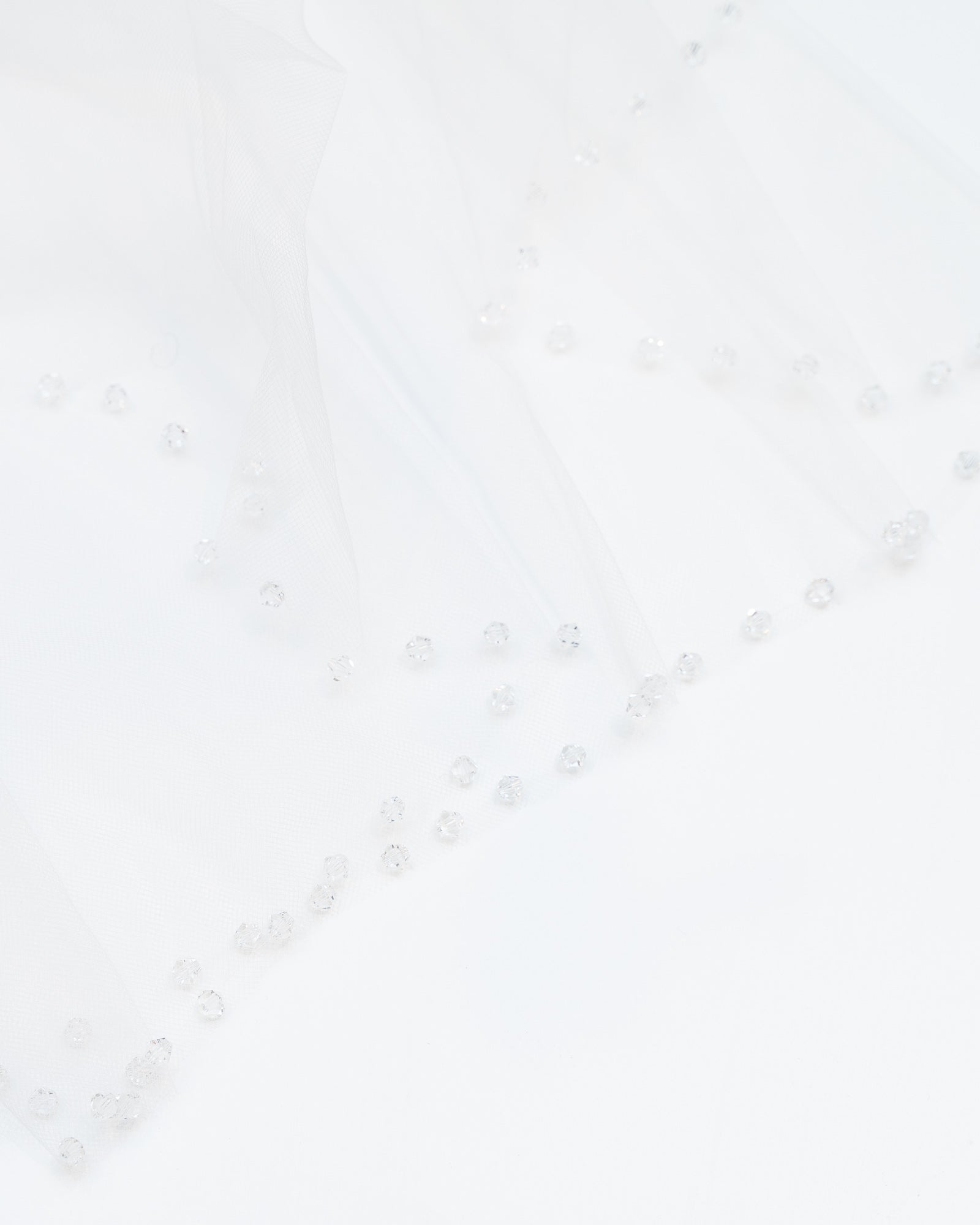 Amy Veil